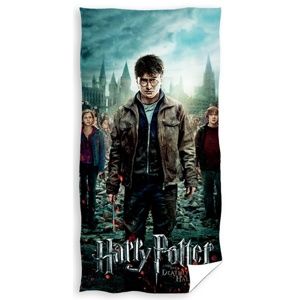 Dětská osuška Harry Potter, 70 x 140 cm
