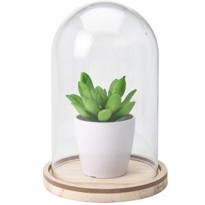 Koopman Umělá rostlina ve skle Pearlie, 19 cm