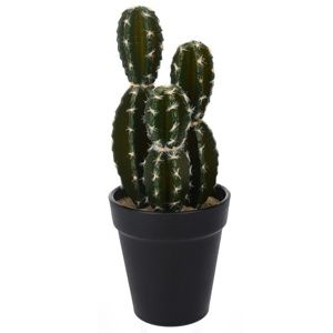 Koopman Umělý kaktus Albany, 10 cm