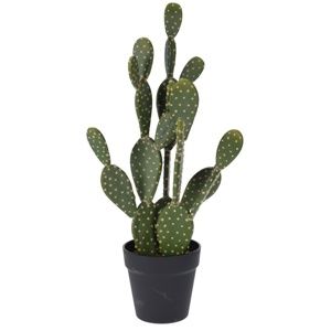 Koopman Umělý kaktus Hayden, 14 cm