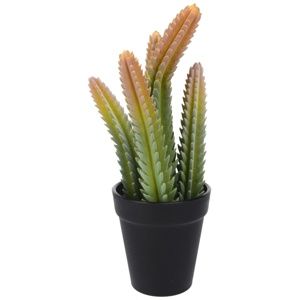 Koopman Umělý kaktus Techado, 10 cm