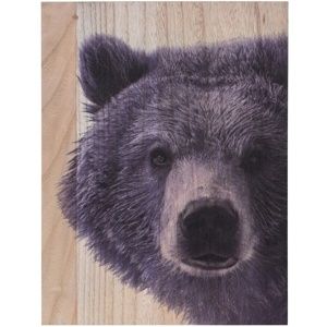 Obraz na dřevě Grizzly bear, 28 x 38 cm