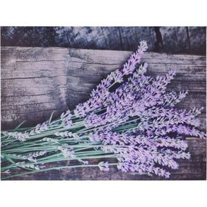 Obraz na plátně Nantes Lavender, 78 x 58,5 cm