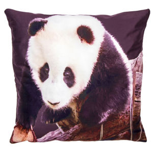 Povlak na polštářek Panda, 40 x 40 cm