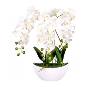 Umělá Orchidej v květináči bílá, 21 květů, 60 cm