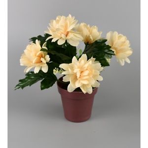 Umělá květina Chrysantéma v květináči 16 cm, krémová