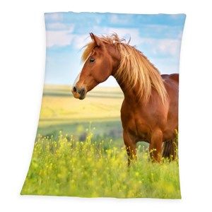 Deka Horse Freedom, 130 x 160 cm