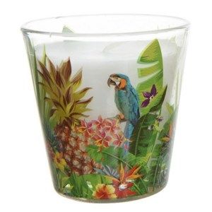 Dekorativní svíčka Parrot, pr. 6,5 cm