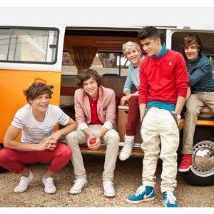 Fototapeta One Direction, 315 x 232 cm
