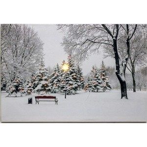 LED Obraz na plátně Zima v parku, 60 x 40 cm