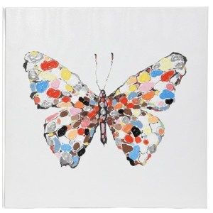 Obraz Colours Butterfly, 50 x 50 cm