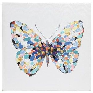 Obraz Colours Butterfly modrá, 50 x 50 cm