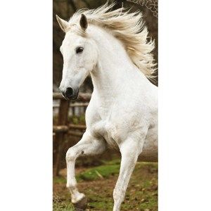 Osuška White Horse, 70 x 140 cm