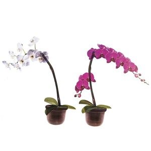 Samolepicí dekorace Orchidea