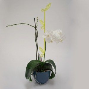 Tyčka k orchideji list, průsvitná zelená, 2 ks