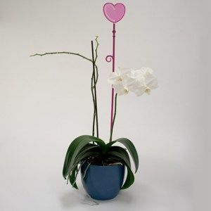 Plastia Tyčka k orchideji Srdce fialová, 60 cm