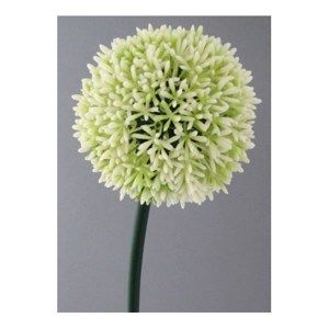 Umělá květina Česnek bílá, 68 cm