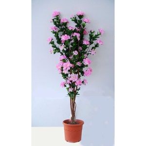 Umělá kvetoucí Azalka v květináči světle růžová, 120 cm