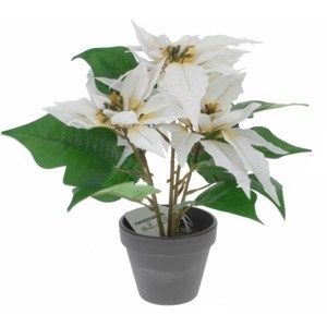 Umělá Vánoční hvězda v květináči bílá, 26 cm